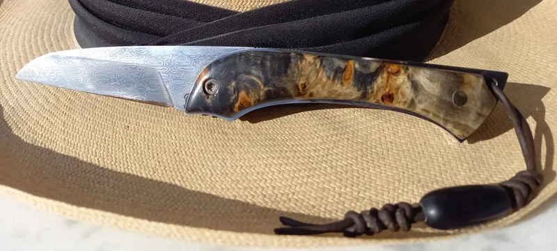 Modèle le Romuld Loupe de peuplier (1)