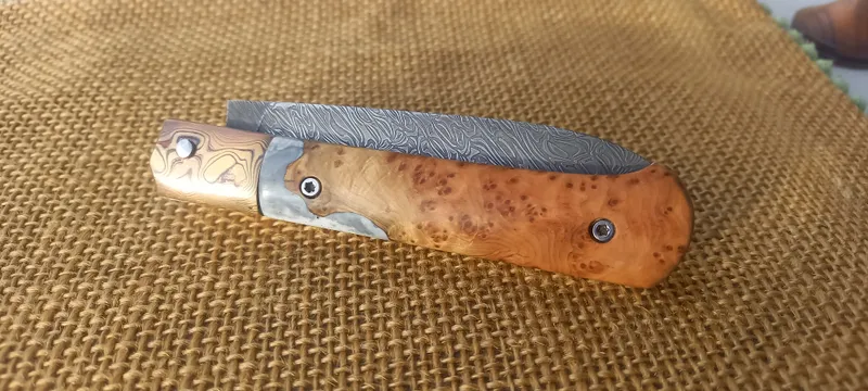 Le vagabond Loupe d'Amboine (2)