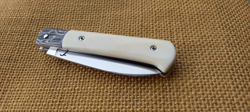 Le Vagabond Phacochère (3)