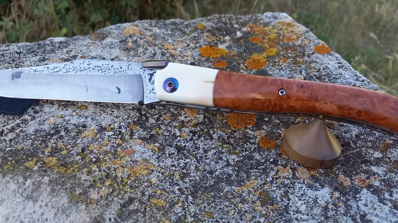 Couteau pliant Loupe d'Emboine (1)